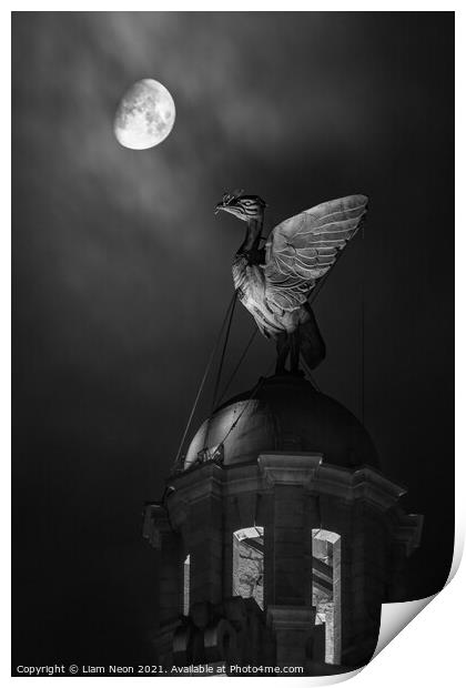 Monochrome Lunar Liverbird, Liverpool Waterfront Print by Liam Neon