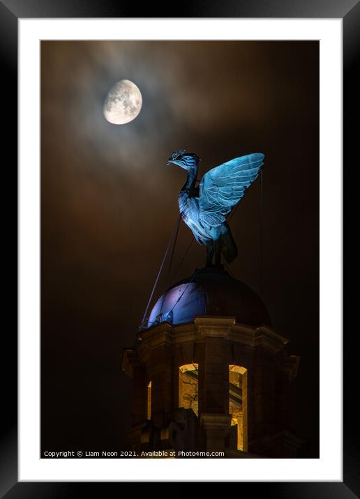 Lunar Liverbird, Liverpool Waterfront Framed Mounted Print by Liam Neon