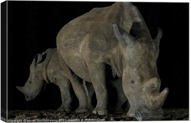 White rhinos at night waterhole Canvas Print by Adrian Turnbull-Kemp