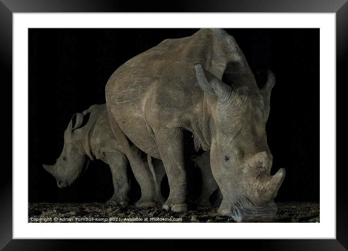 White rhinos at night waterhole Framed Mounted Print by Adrian Turnbull-Kemp