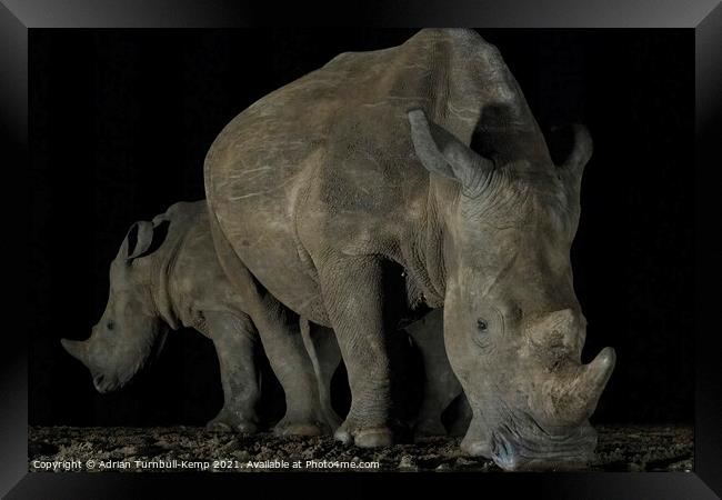 White rhinos at night waterhole Framed Print by Adrian Turnbull-Kemp