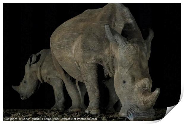 White rhinos at night waterhole Print by Adrian Turnbull-Kemp