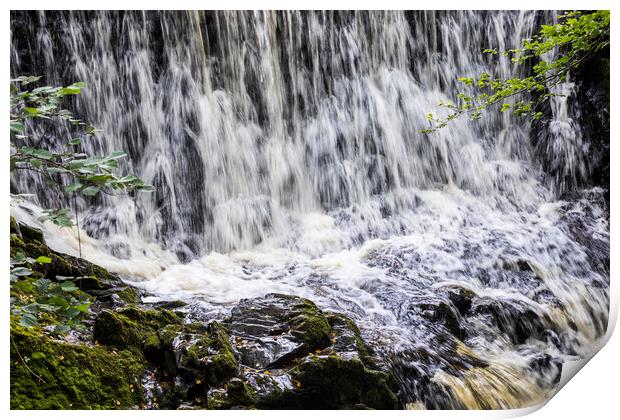 Waterfall on the Silver river, Slieve Blooms, Ireland Print by Phil Crean