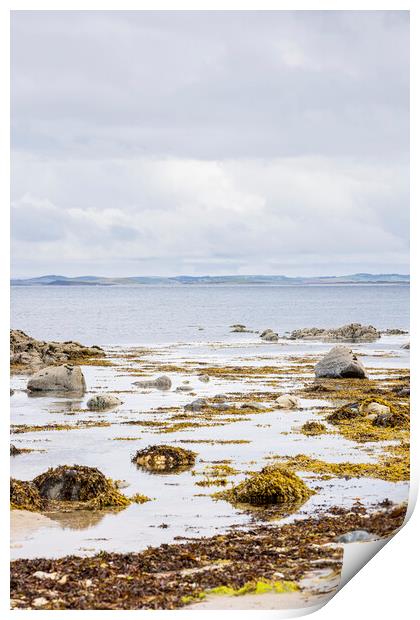 Old Head beach Louisburgh Mayo Print by Phil Crean