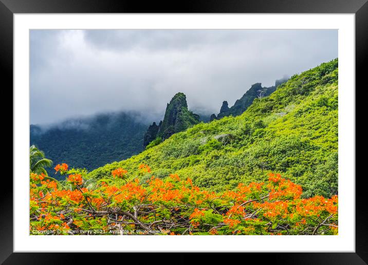 Colorful Green Mountains Orange Flame Tree Moorea Tahiti Framed Mounted Print by William Perry