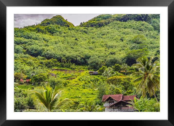 Colorful Green Small Farm Mountain Palm Trees Moorea Tahiti Framed Mounted Print by William Perry