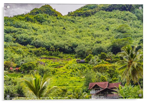 Colorful Green Small Farm Mountain Palm Trees Moorea Tahiti Acrylic by William Perry