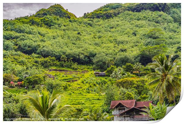 Colorful Green Small Farm Mountain Palm Trees Moorea Tahiti Print by William Perry