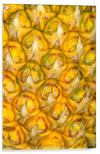 Pineapple Growing Field Moorea Tahiti Acrylic by William Perry