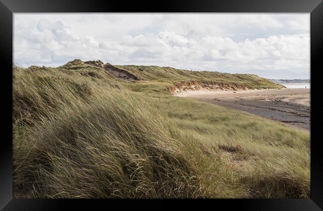 Rhosneigr sand dunes Framed Print by Jason Wells