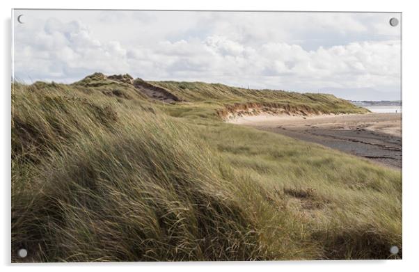 Rhosneigr sand dunes Acrylic by Jason Wells