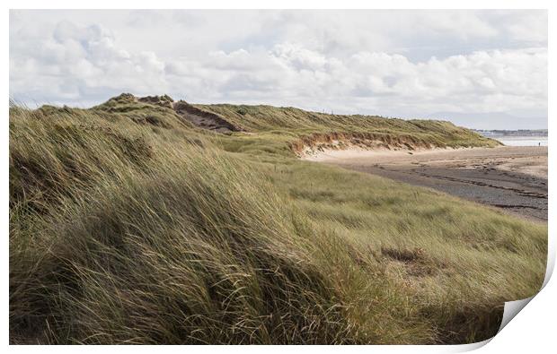 Rhosneigr sand dunes Print by Jason Wells