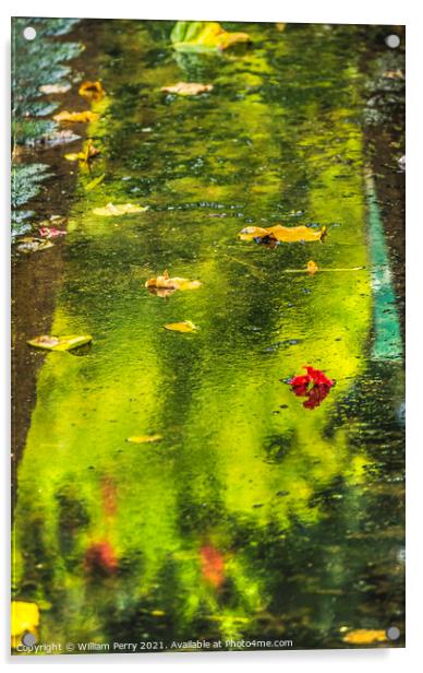 Green Reflection Abstract Water Flowers Leaves Moorea Tahiti Acrylic by William Perry