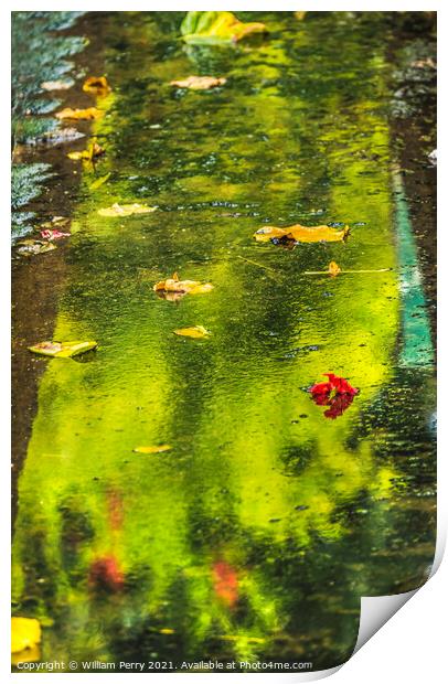 Green Reflection Abstract Water Flowers Leaves Moorea Tahiti Print by William Perry