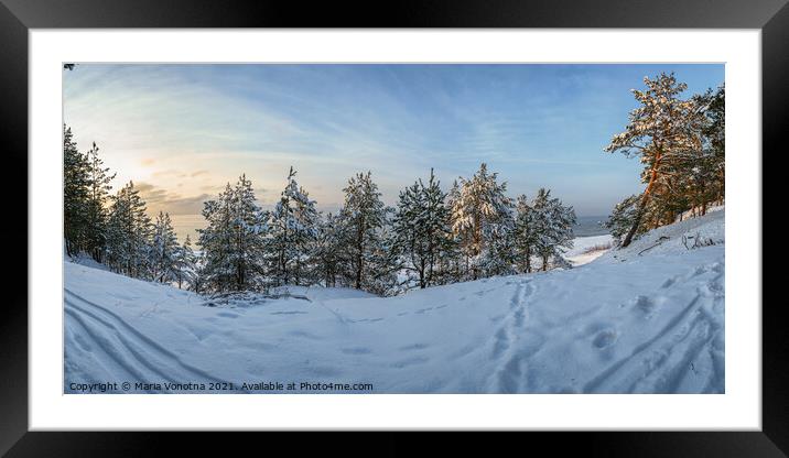 Frozen snowy forest with fir and pine trees Framed Mounted Print by Maria Vonotna