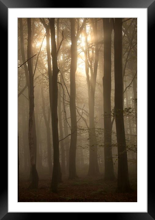 sunlight and woodland architecture Framed Mounted Print by Simon Johnson