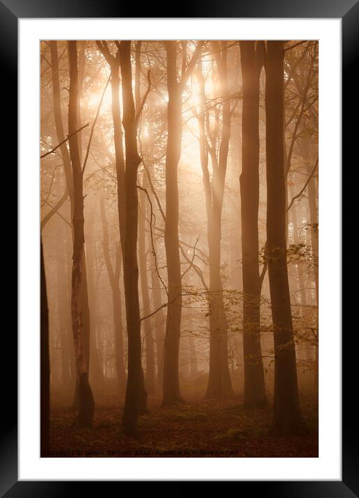 snlit misty woodland Framed Mounted Print by Simon Johnson