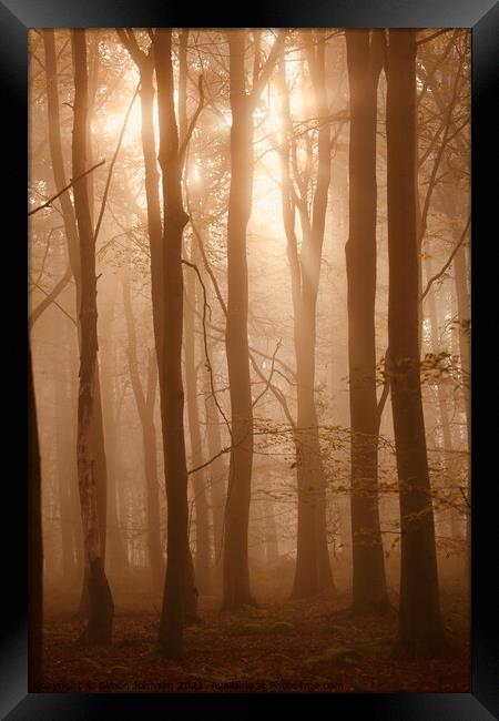 snlit misty woodland Framed Print by Simon Johnson