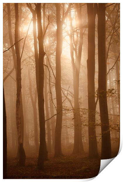 snlit misty woodland Print by Simon Johnson