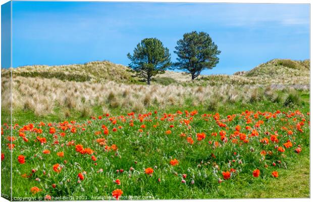 Vibrant Poppies and Trees Bamburgh Canvas Print by Michael Birch