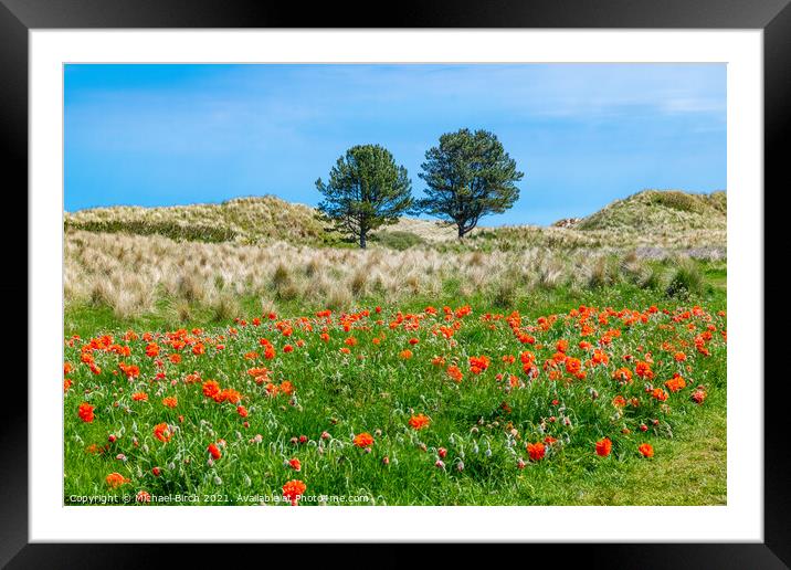 Vibrant Poppies and Trees Bamburgh Framed Mounted Print by Michael Birch