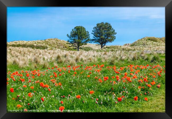 Vibrant Poppies and Trees Bamburgh Framed Print by Michael Birch