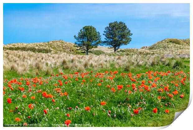 Vibrant Poppies and Trees Bamburgh Print by Michael Birch