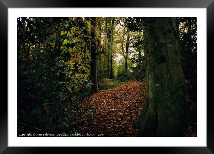Autumn in the woods Framed Mounted Print by Ann Biddlecombe