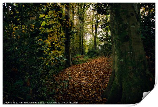 Autumn in the woods Print by Ann Biddlecombe