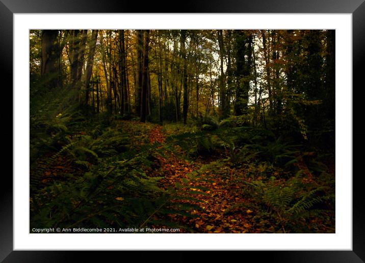 In the woods Framed Mounted Print by Ann Biddlecombe