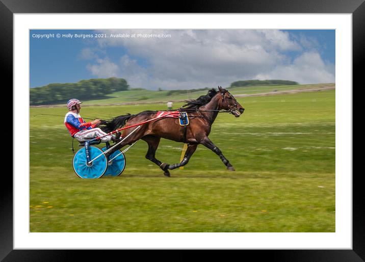 Harness Racing, horse and rider in a cart, racing  Framed Mounted Print by Holly Burgess