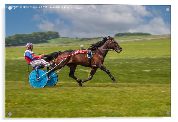 Harness Racing, horse and rider in a cart, racing  Acrylic by Holly Burgess