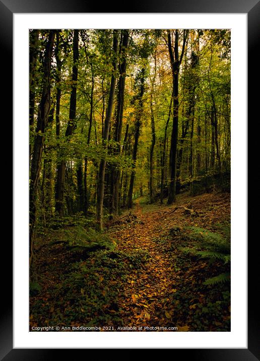 The path Framed Mounted Print by Ann Biddlecombe