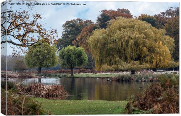 Autumn trees at Bushy Park Canvas Print by Kevin White