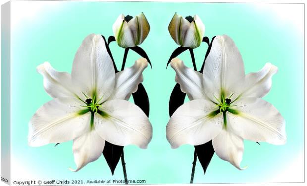 Super large majestic White Madonna Lily Duo. Canvas Print by Geoff Childs