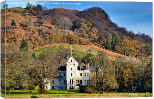 New Castle Lachlan on the Cowal Peninsula, Argyll Canvas Print by Angus McComiskey