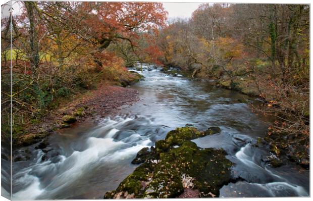 The Tawe river in the Upper Swansea Valley Canvas Print by Leighton Collins
