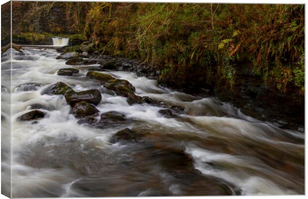 The Tawe river rapids Canvas Print by Leighton Collins