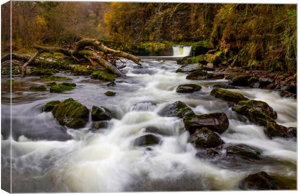 Waterfall and rapids on the river Tawe Canvas Print by Leighton Collins