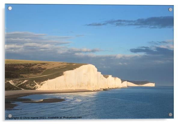 Seven Sisters Acrylic by Chris Harris