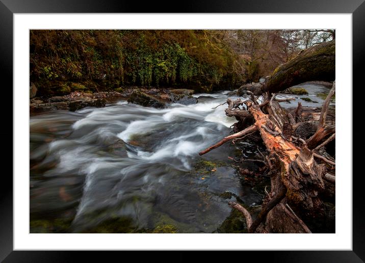 The fallen trees in the Tawe river Framed Mounted Print by Leighton Collins