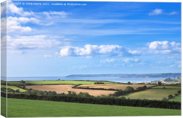 Land, Sea and Sky Canvas Print by Chris Harris
