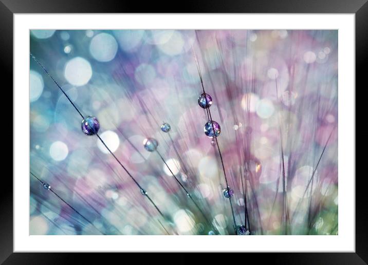 Raindrop Sparkles Framed Mounted Print by Sharon Johnstone