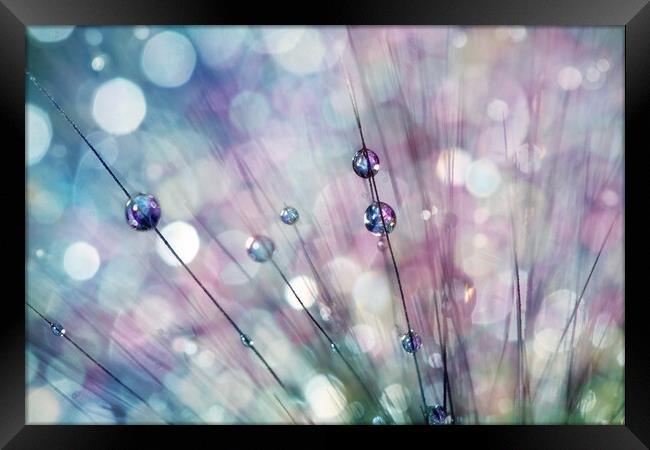 Raindrop Sparkles Framed Print by Sharon Johnstone