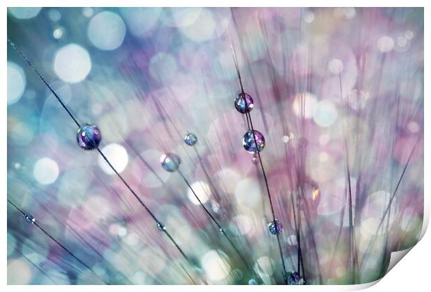Raindrop Sparkles Print by Sharon Johnstone