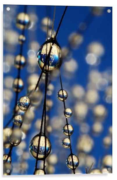 Royal Blue Sparkles Acrylic by Sharon Johnstone