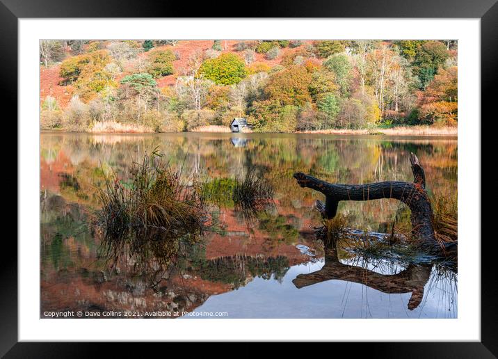 Outdoor Disused Boathouse and Autumn Reflections on Rydal Water in the Lake District, England Framed Mounted Print by Dave Collins