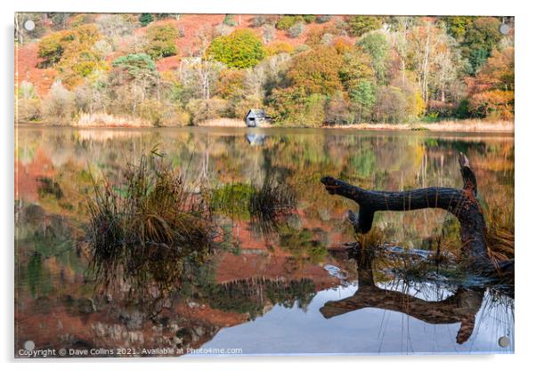 Outdoor Disused Boathouse and Autumn Reflections on Rydal Water in the Lake District, England Acrylic by Dave Collins