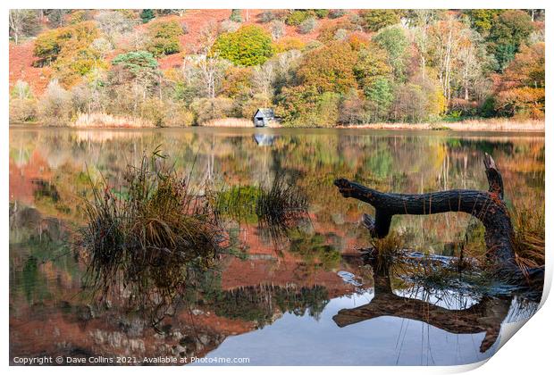 Outdoor Disused Boathouse and Autumn Reflections on Rydal Water in the Lake District, England Print by Dave Collins