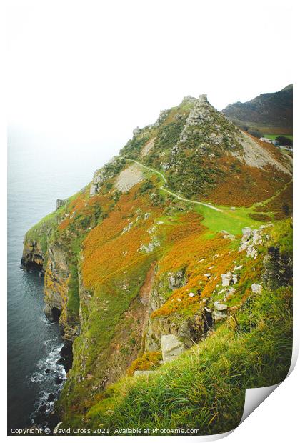 Valley of the Rocks. Lynmouth, Exmoor. Print by David Cross